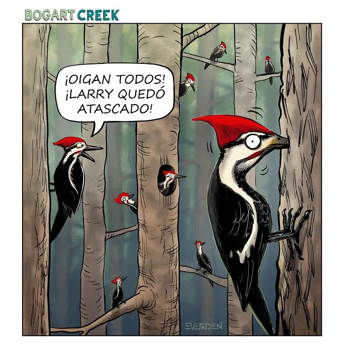 Estos cómics de Derek Evernden nos cuentan buenos chistes usando un solo panel (nuevas imágenes)