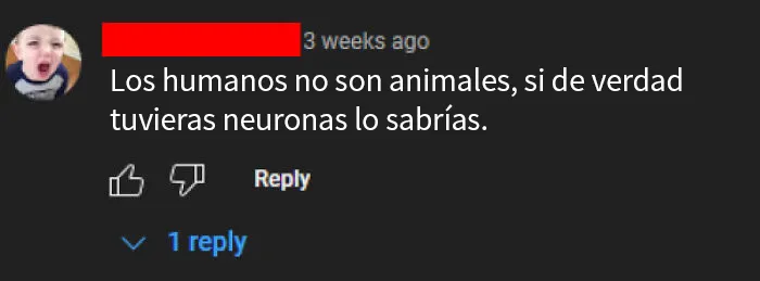 No somos animales