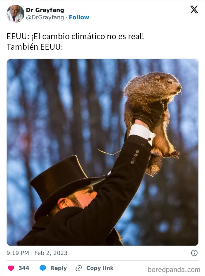 20 Memes divertidos para echarte unas buenas risas
