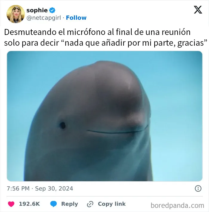 20 Memes divertidos para echarte unas buenas risas