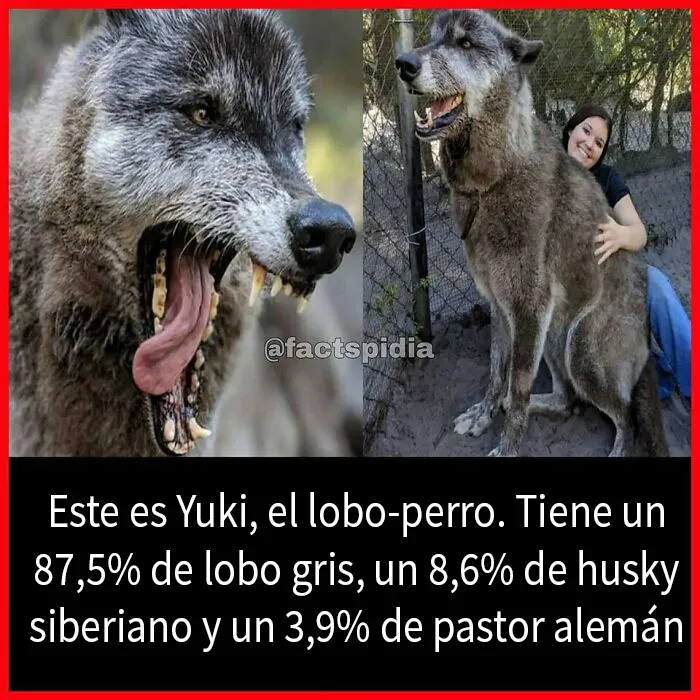 20 Datos interesantes y curiosos que quizá no sepas