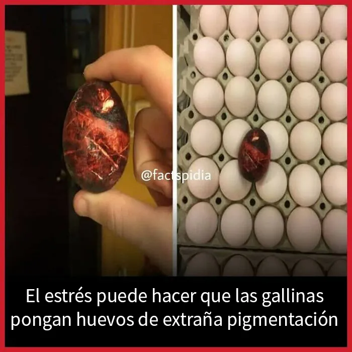 20 Datos interesantes y curiosos que quizá no sepas