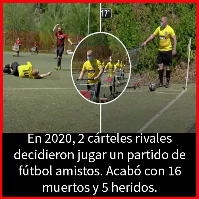 20 Datos interesantes y curiosos que quizá no sepas
