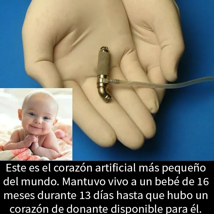 20 Datos interesantes y curiosos que quizá no sepas