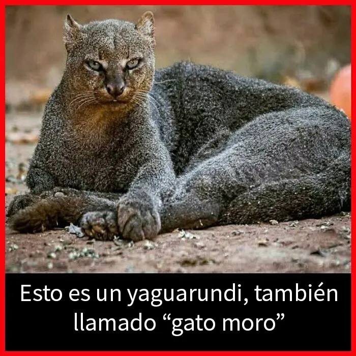 20 Datos interesantes y curiosos que quizá no sepas