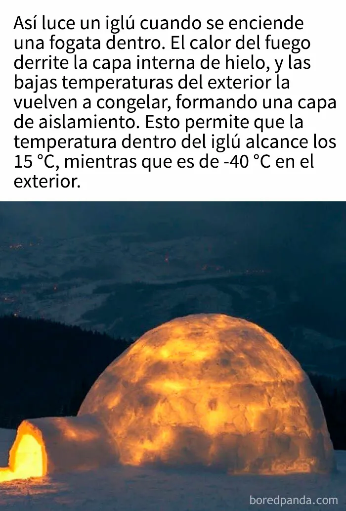 "Cómo funciona todo": 20 imágenes que probablemente te enseñarán algo nuevo