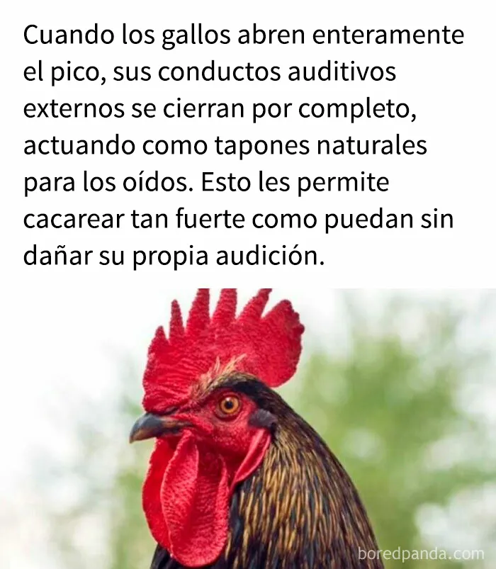 "Cómo funciona todo": 20 imágenes que probablemente te enseñarán algo nuevo