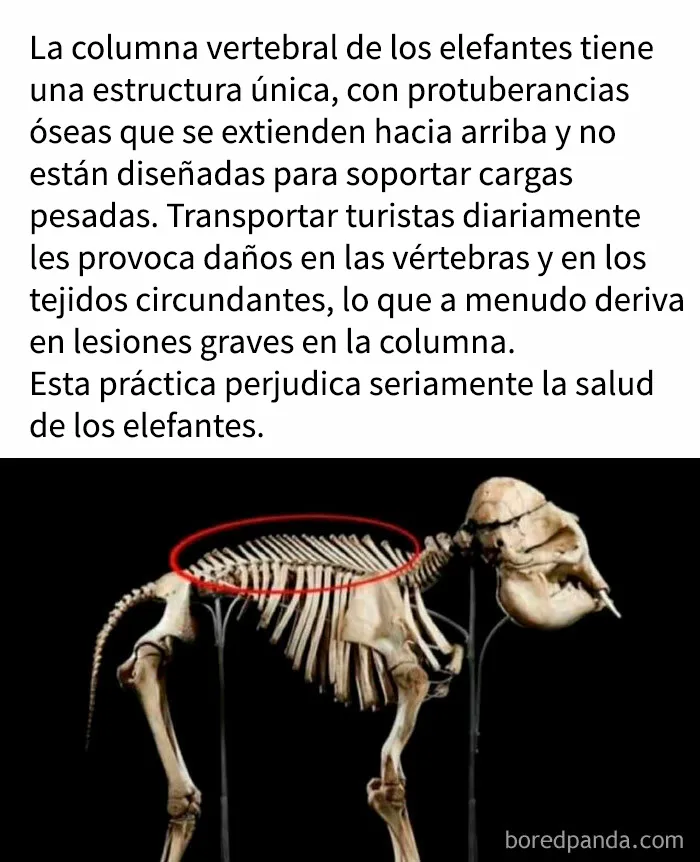 "Cómo funciona todo": 20 imágenes que probablemente te enseñarán algo nuevo
