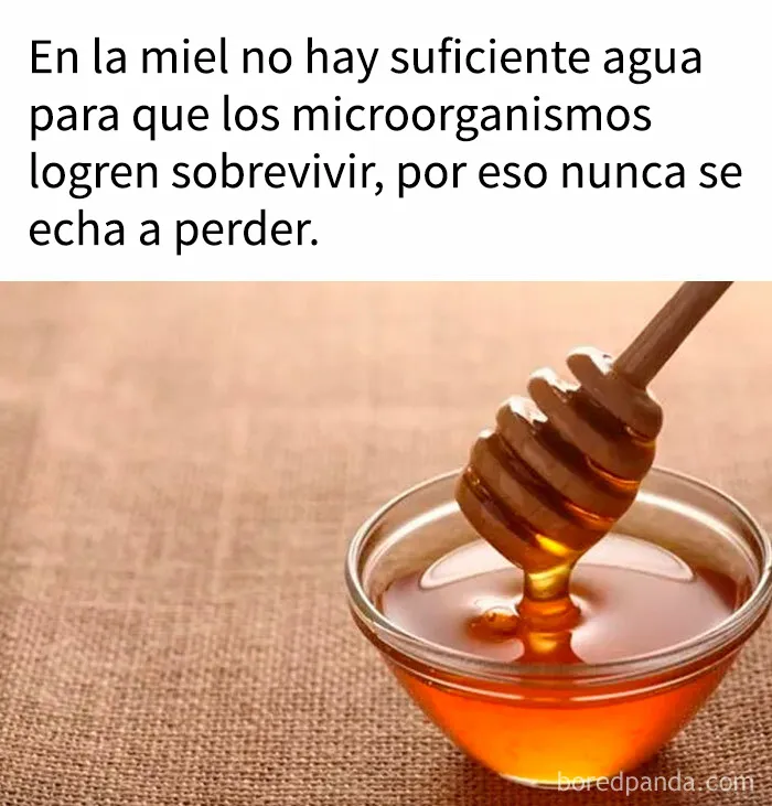 "Cómo funciona todo": 20 imágenes que probablemente te enseñarán algo nuevo