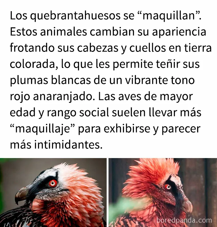 "Cómo funciona todo": 20 imágenes que probablemente te enseñarán algo nuevo