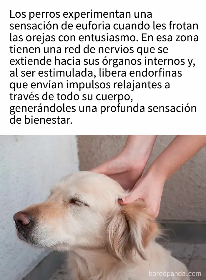 "Cómo funciona todo": 20 imágenes que probablemente te enseñarán algo nuevo