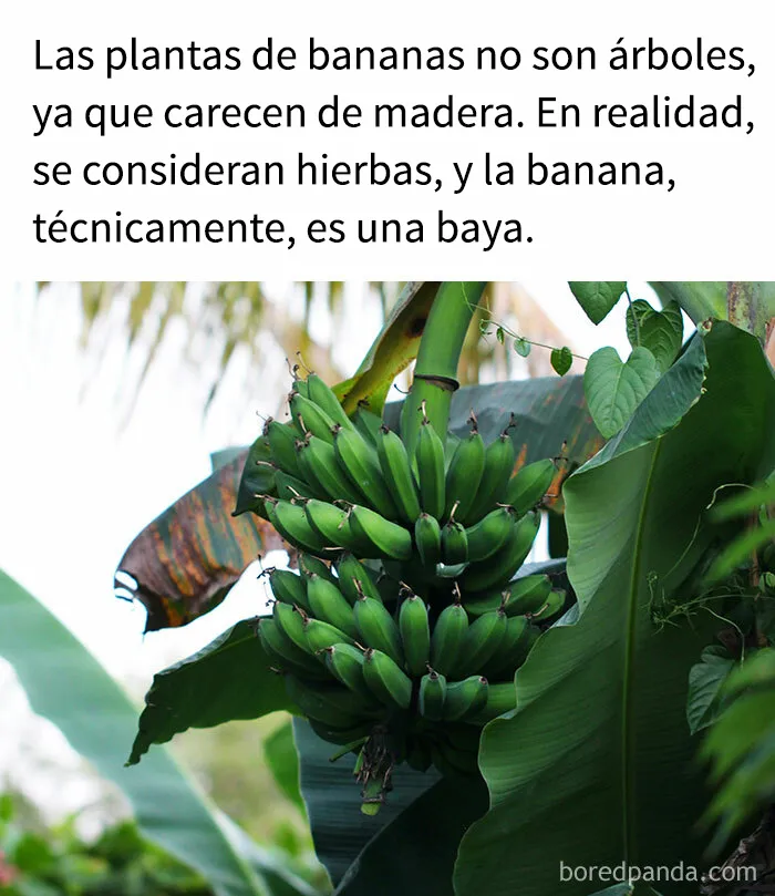 "Cómo funciona todo": 20 imágenes que probablemente te enseñarán algo nuevo