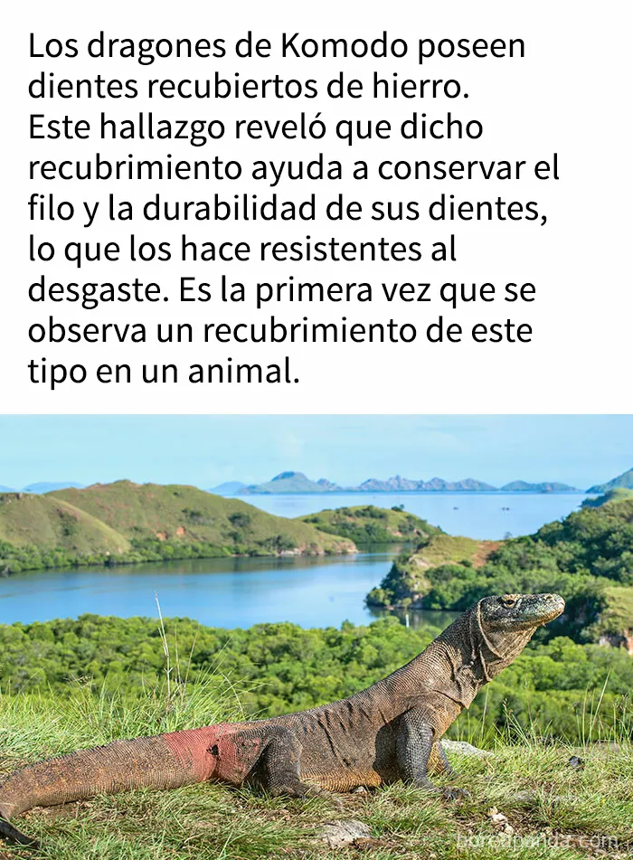 "Cómo funciona todo": 20 imágenes que probablemente te enseñarán algo nuevo