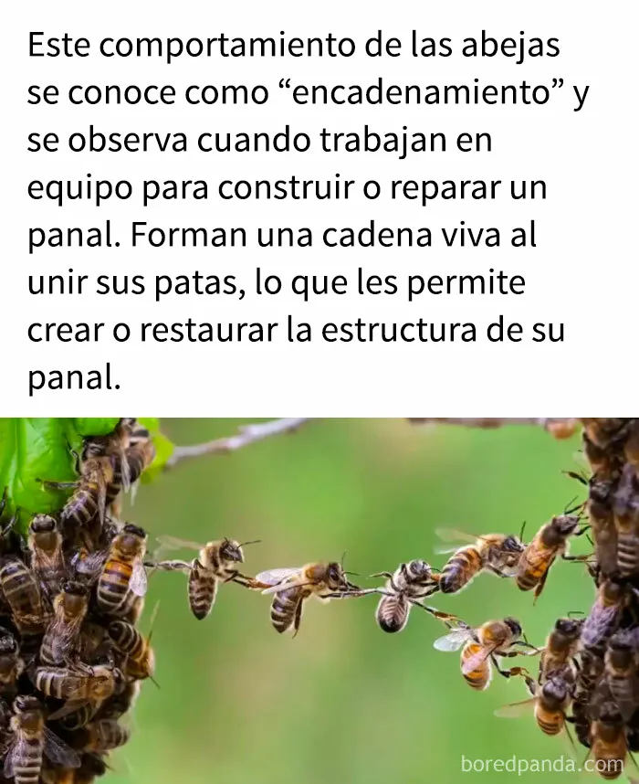 "Cómo funciona todo": 20 imágenes que probablemente te enseñarán algo nuevo
