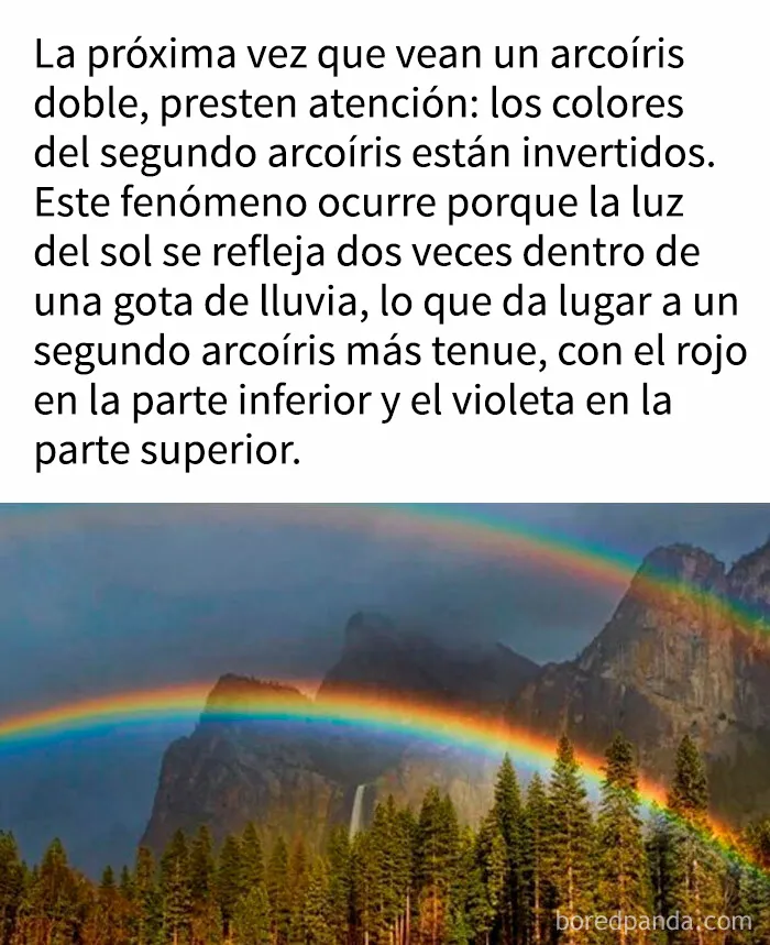 "Cómo funciona todo": 20 imágenes que probablemente te enseñarán algo nuevo