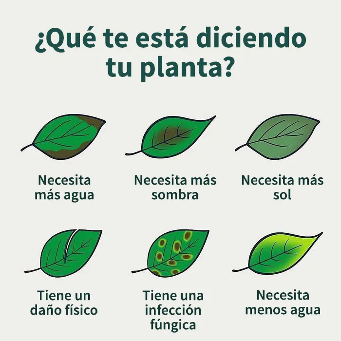"Cómo funciona todo": 20 imágenes que probablemente te enseñarán algo nuevo