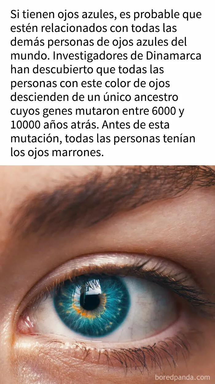 "Cómo funciona todo": 20 imágenes que probablemente te enseñarán algo nuevo