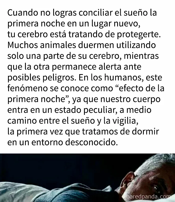 "Cómo funciona todo": 20 imágenes que probablemente te enseñarán algo nuevo