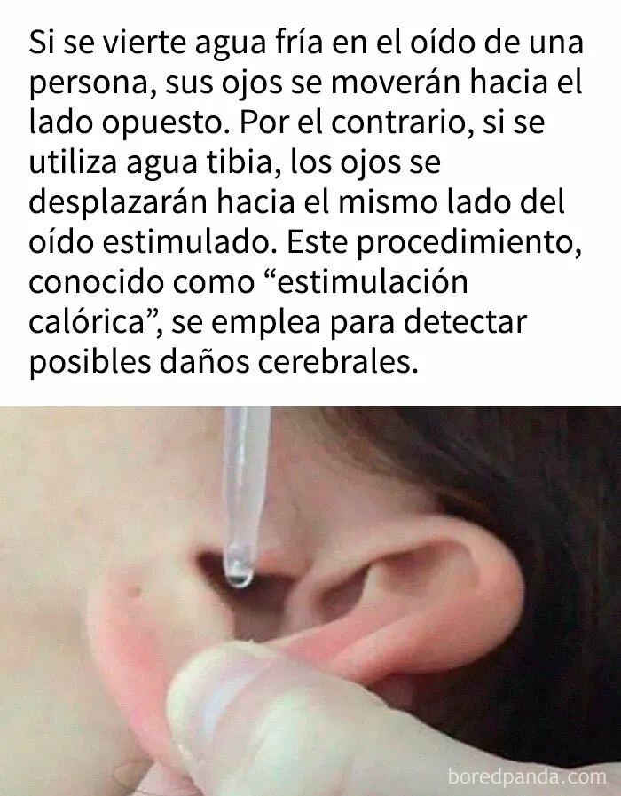 "Cómo funciona todo": 20 imágenes que probablemente te enseñarán algo nuevo