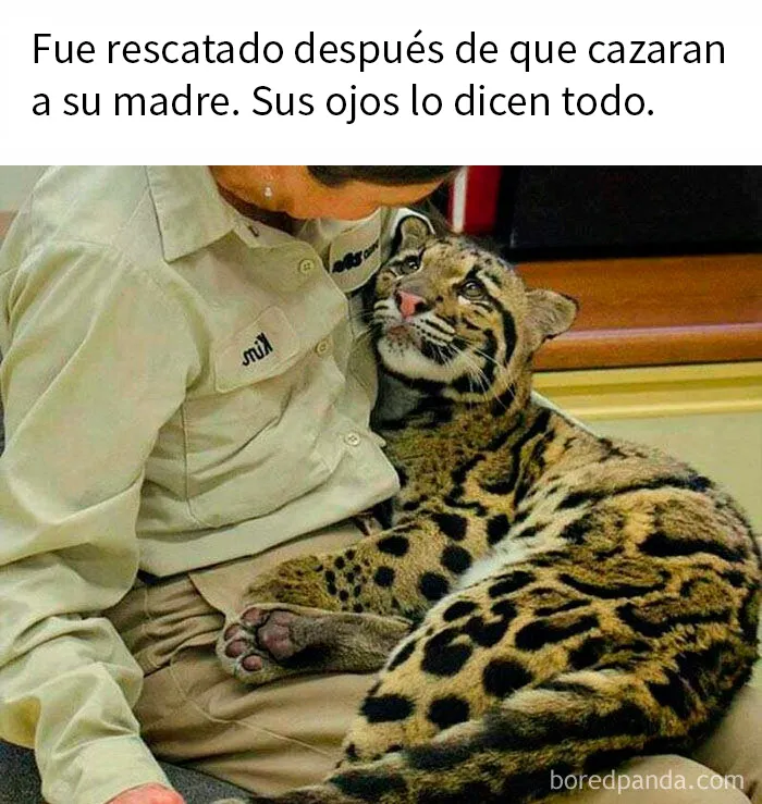 Si te parece que el mundo se va al infierno, estas 20 historias positivas quizá te ayuden a cambiar de opinión