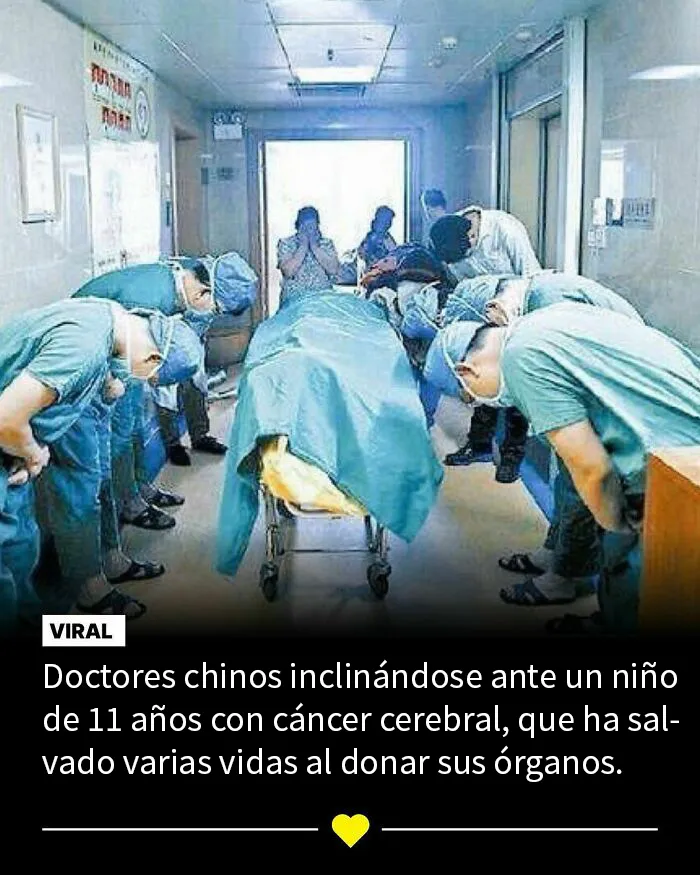 Si te parece que el mundo se va al infierno, estas 20 historias positivas quizá te ayuden a cambiar de opinión