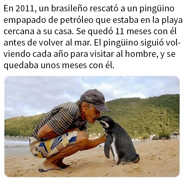 Si te parece que el mundo se va al infierno, estas 20 historias positivas quizá te ayuden a cambiar de opinión