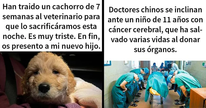Si te parece que el mundo se va al infierno, estas 20 historias positivas quizá te ayuden a cambiar de opinión