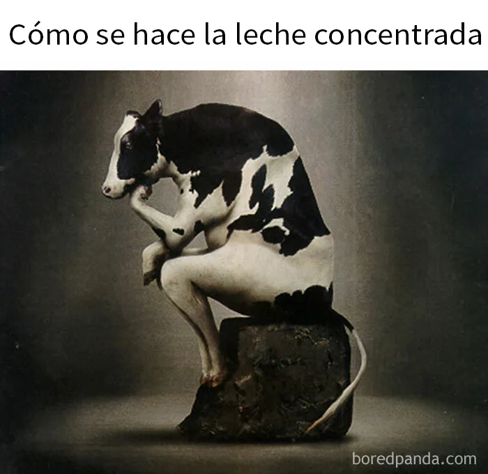 20 De los mejores y más divertidos memes de esta cuenta de Instagram con 1'7 millones de seguidores