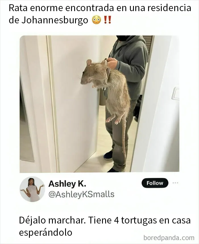 20 De los mejores y más divertidos memes de esta cuenta de Instagram con 1'7 millones de seguidores