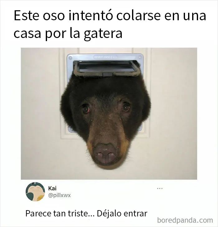 20 De los mejores y más divertidos memes de esta cuenta de Instagram con 1'7 millones de seguidores