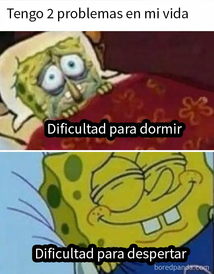 20 De los mejores y más divertidos memes de esta cuenta de Instagram con 1'7 millones de seguidores