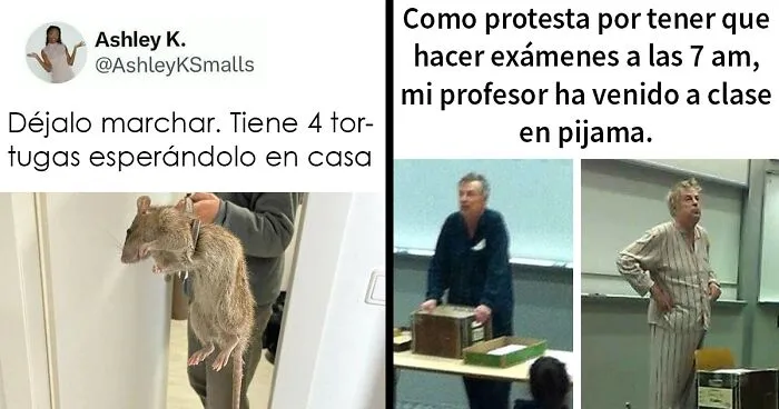 20 De los mejores y más divertidos memes de esta cuenta de Instagram con 1'7 millones de seguidores