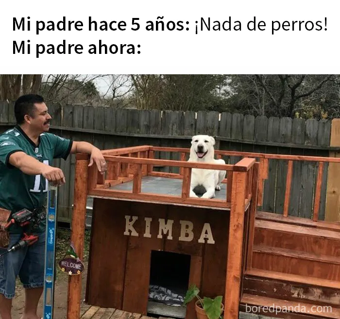 20 Reconfortantes memes de animales para alegrarte el día