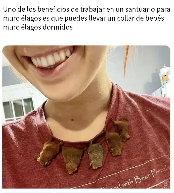 20 Tuits tan divertidos como acertados para aguantar el resto del día