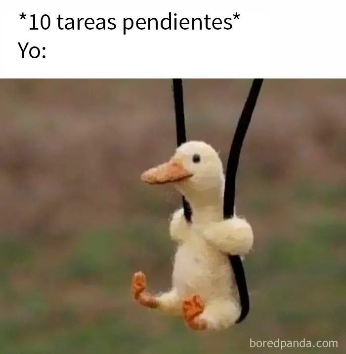 20 Memes y publicaciones tan divertidos como acertados