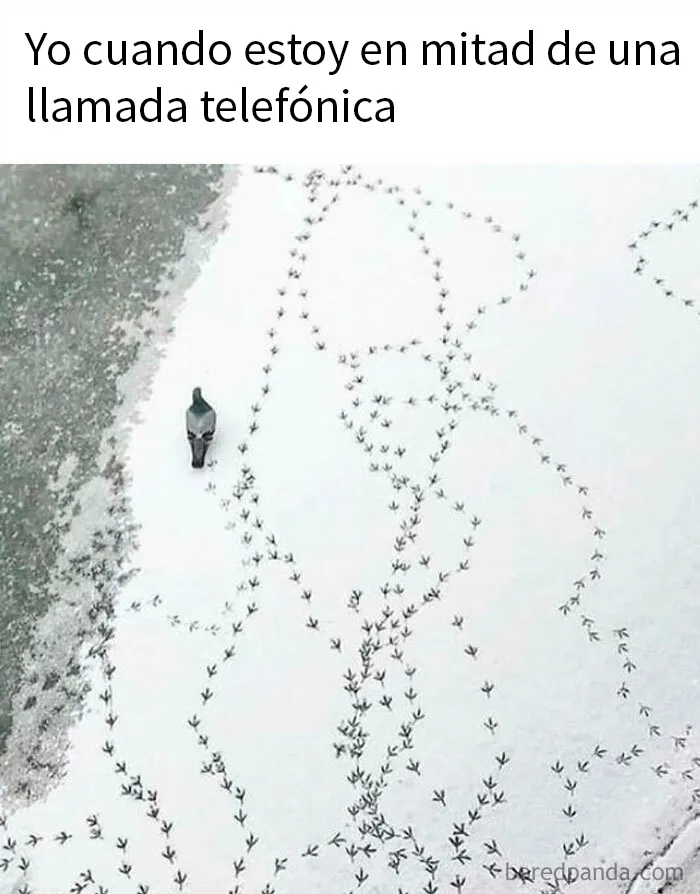 20 Memes y publicaciones tan divertidos como acertados