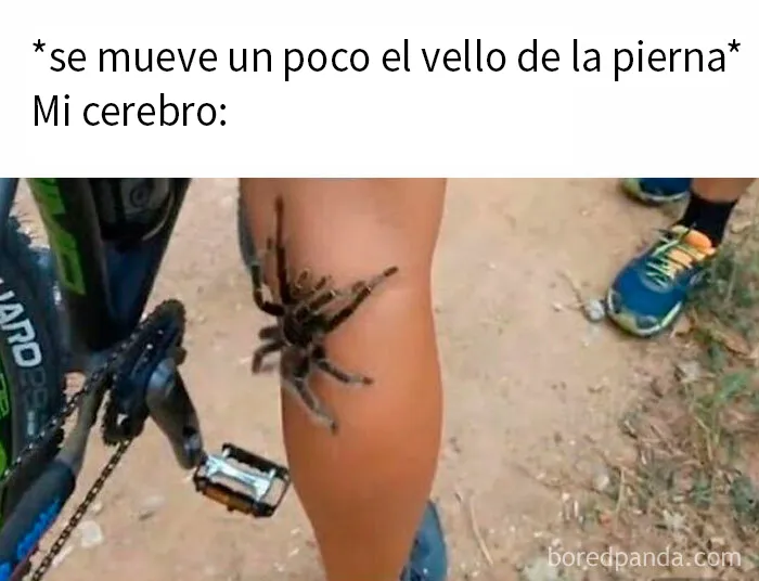 20 Memes y publicaciones tan divertidos como acertados