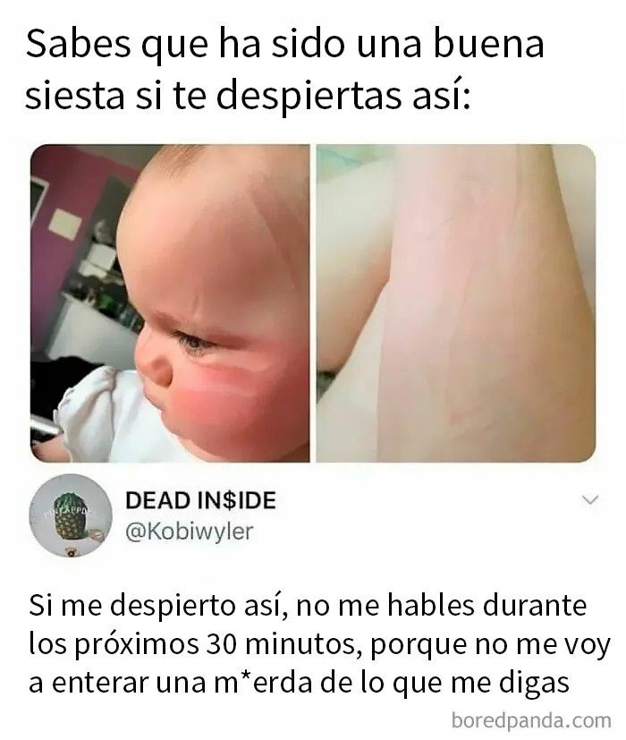 20 Memes y publicaciones tan divertidos como acertados