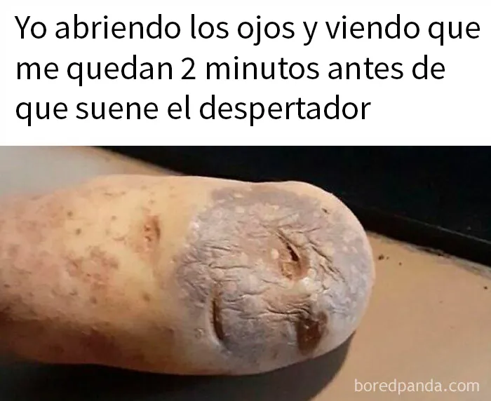 20 Memes y publicaciones tan divertidos como acertados