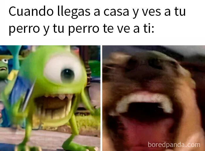 20 Memes y publicaciones tan divertidos como acertados