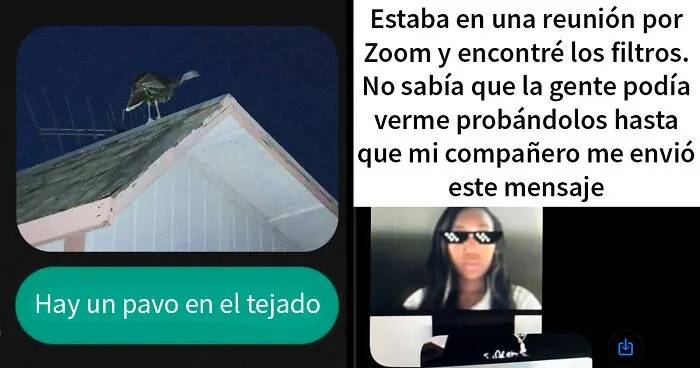 20 Personas que recibieron divertidos mensajes para los que no estaban preparados