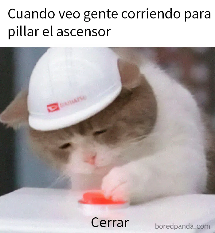 20 Divertidos memes para que no te falte tu dosis diaria de risas
