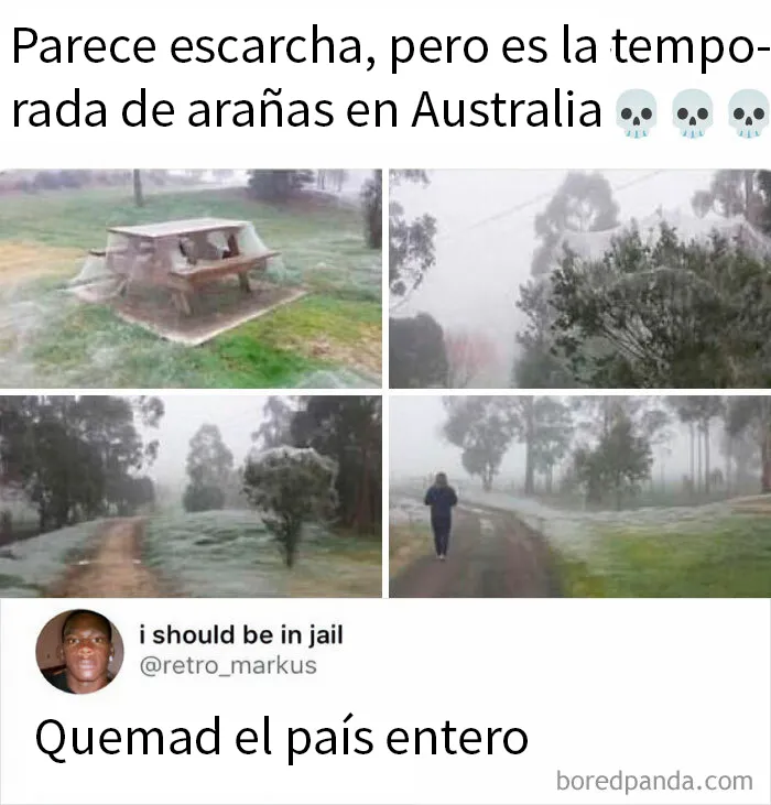 20 Divertidos memes para que no te falte tu dosis diaria de risas