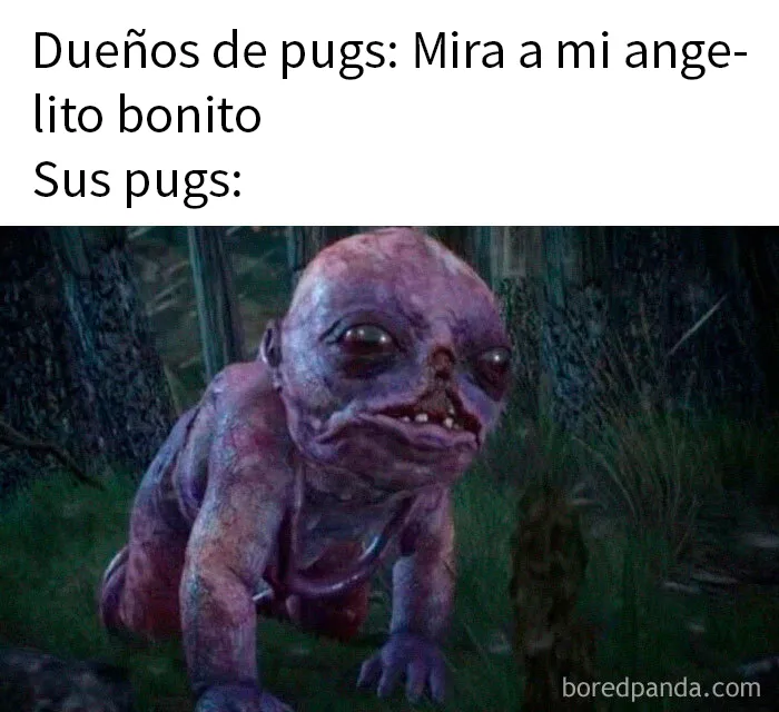 20 Divertidos memes por si necesitas tu dosis de risas diaria