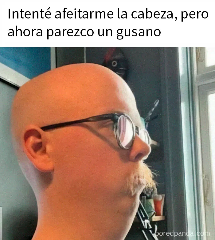 20 Divertidos memes por si necesitas tu dosis de risas diaria
