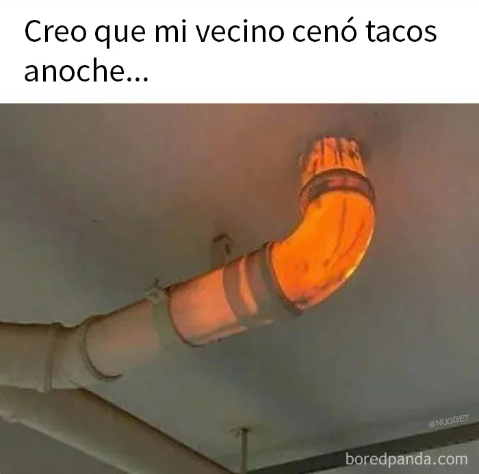 20 Memes demostrando que el humor nos conecta en tiempos difíciles