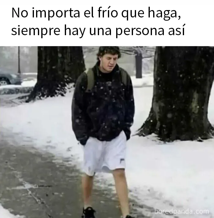 20 Memes demostrando que el humor nos conecta en tiempos difíciles