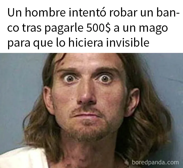 20 Memes demostrando que el humor nos conecta en tiempos difíciles