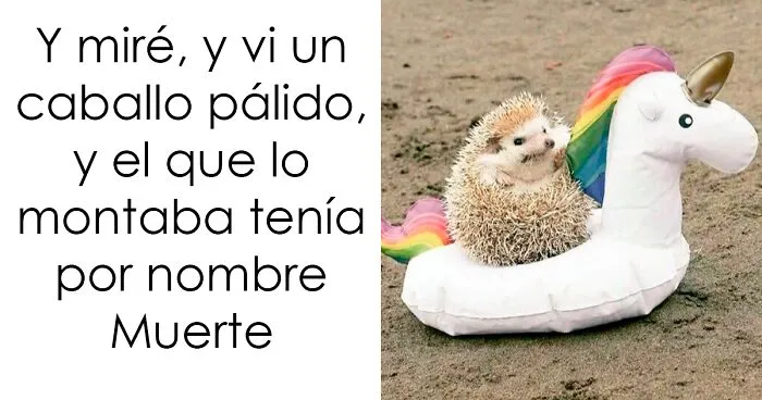 20 Publicaciones aleatorias pero divertidas compartidas en el grupo online «Delirios de suficiencia»