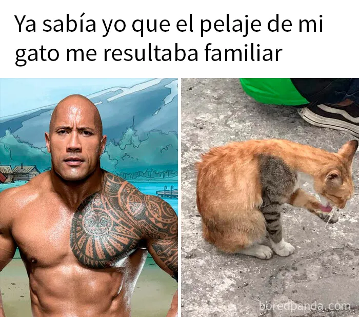 20 Memes divertidísimos para los que disfrutan de un humor diferente